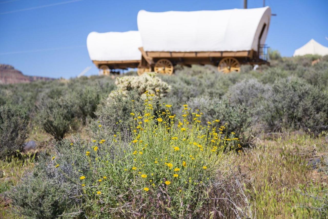 מלון וירג'ין Zion Wildflower מראה חיצוני תמונה